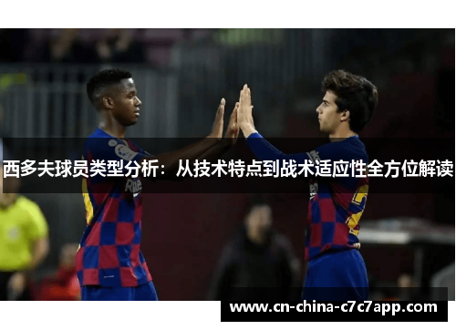 西多夫球员类型分析：从技术特点到战术适应性全方位解读