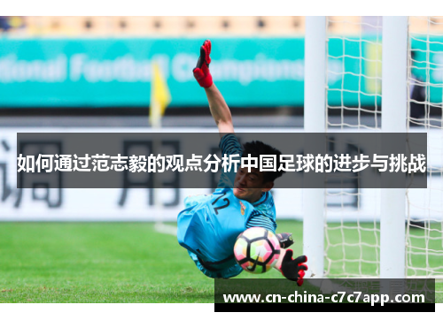 如何通过范志毅的观点分析中国足球的进步与挑战